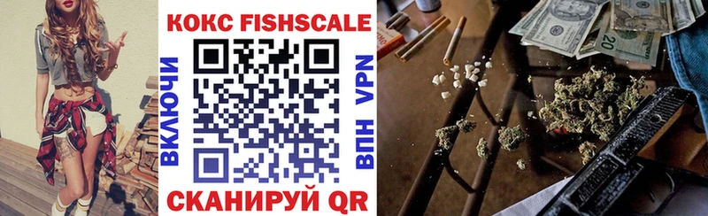 COCAIN Fish Scale  Купить закладки  Нерюнгри 