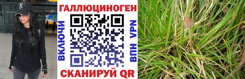 Галлюциногенные грибы ЛСД  Купить закладки  Нерюнгри 