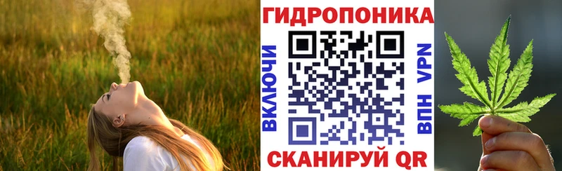 Купить где  Нерюнгри  Каннабис семена 